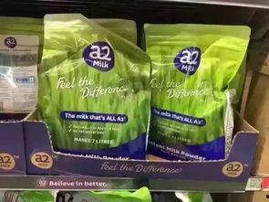 印尼巴士模拟器国产车辆模组 