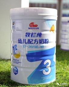 印尼巴士模拟器国产车辆模组 