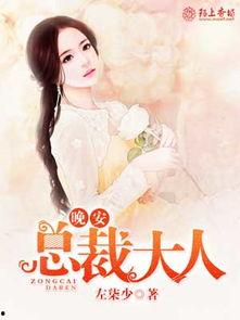 小黄书免费版 
